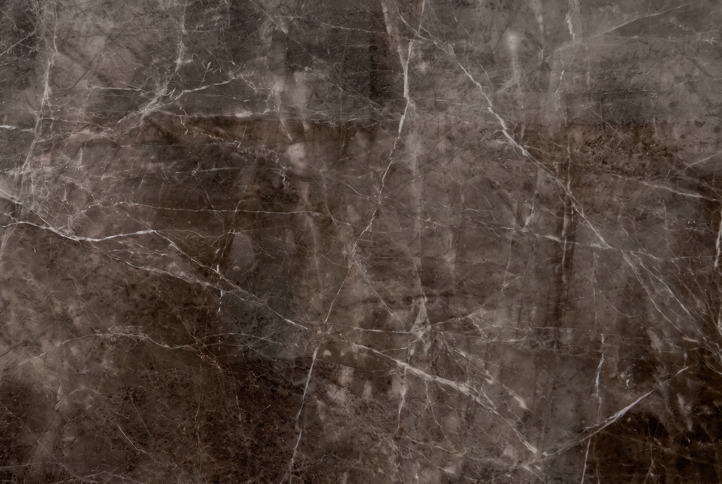 Nevada Brown Marble slab from USA - DOTG Premium Selection